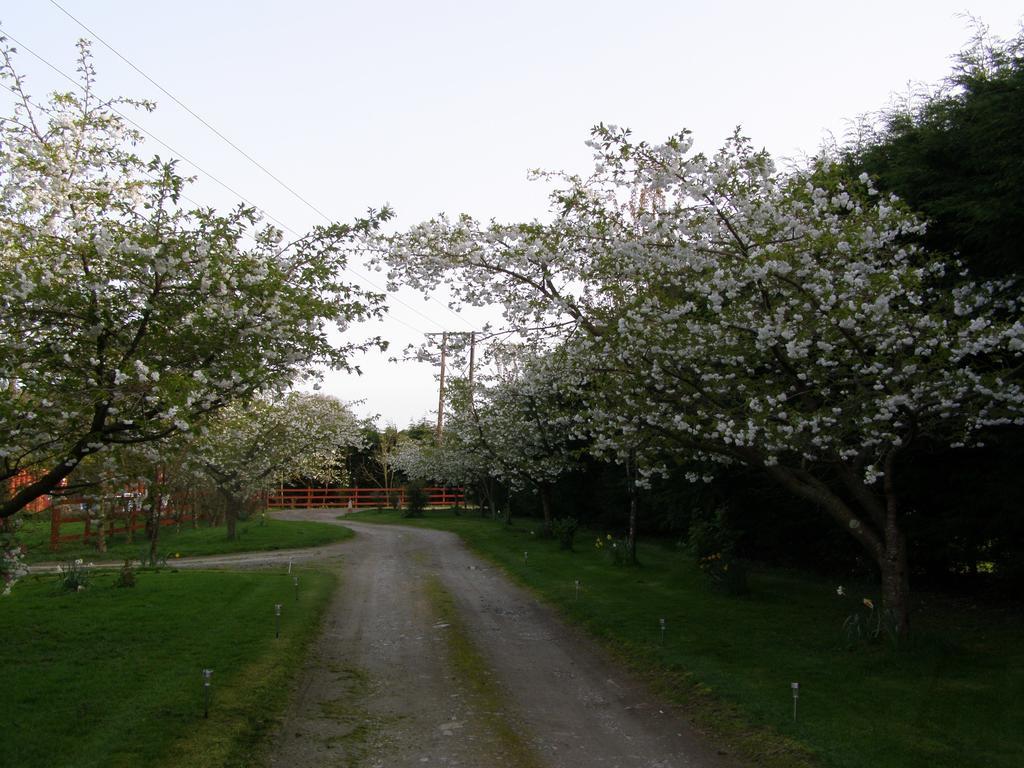 Bed & Breakfast Killurin