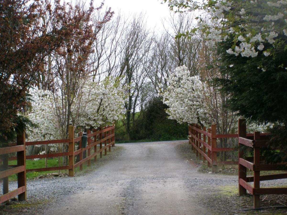 Bed & Breakfast Killurin Ballyvolane