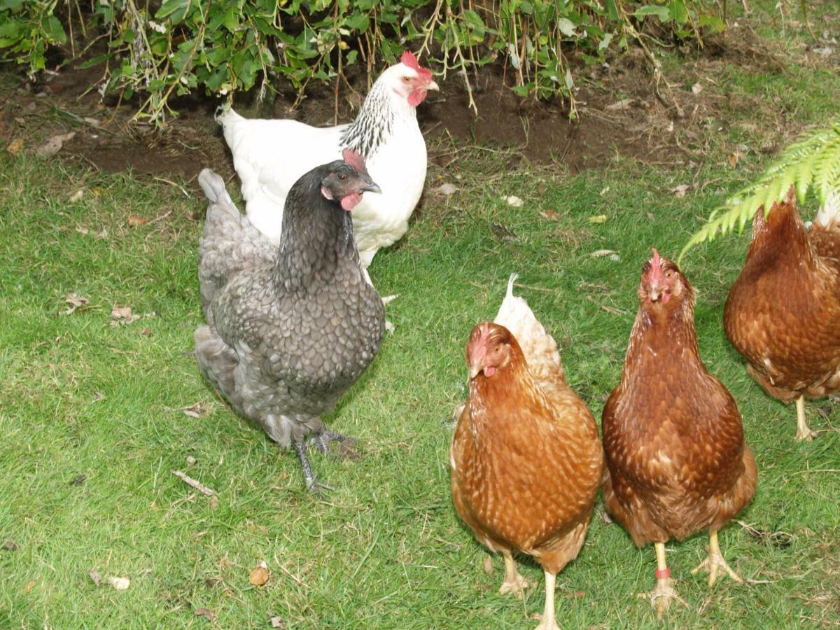 Bed & Breakfast Killurin Ballyvolane